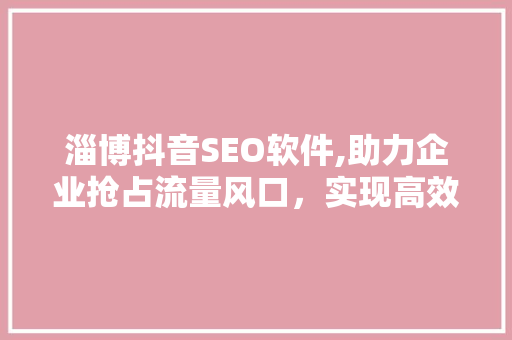 淄博抖音SEO软件,助力企业抢占流量风口，实现高效传播
