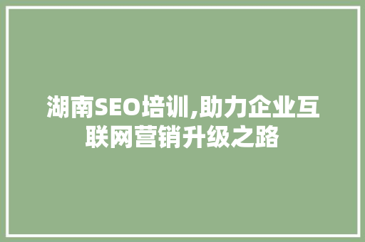 湖南SEO培训,助力企业互联网营销升级之路