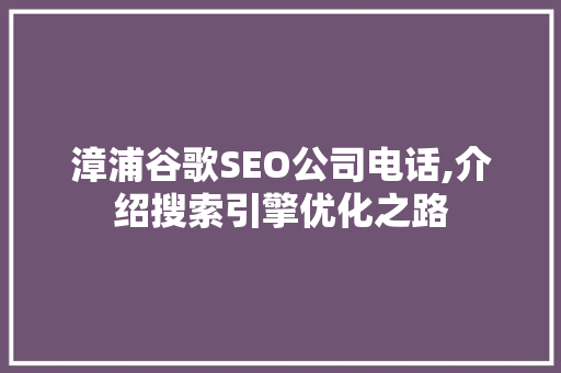 漳浦谷歌SEO公司电话,介绍搜索引擎优化之路
