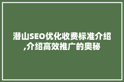 潜山SEO优化收费标准介绍,介绍高效推广的奥秘