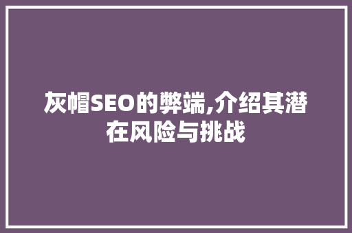 灰帽SEO的弊端,介绍其潜在风险与挑战