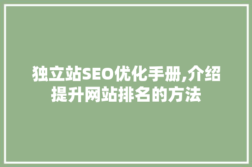 独立站SEO优化手册,介绍提升网站排名的方法