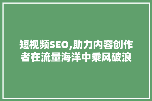 短视频SEO,助力内容创作者在流量海洋中乘风破浪