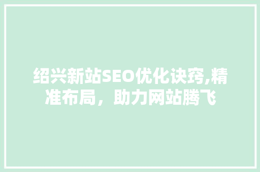 绍兴新站SEO优化诀窍,精准布局，助力网站腾飞