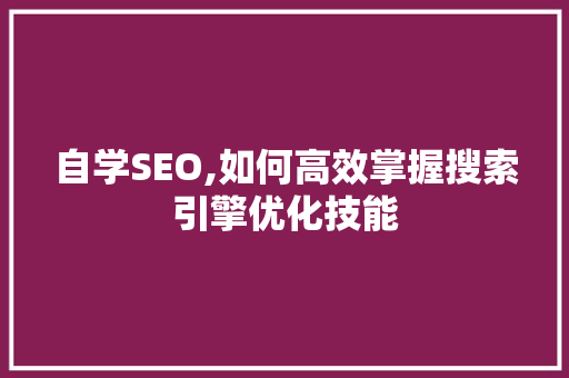 自学SEO,如何高效掌握搜索引擎优化技能