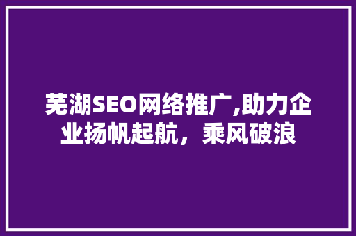 芜湖SEO网络推广,助力企业扬帆起航，乘风破浪