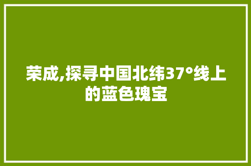 荣成,探寻中国北纬37°线上的蓝色瑰宝  第1张