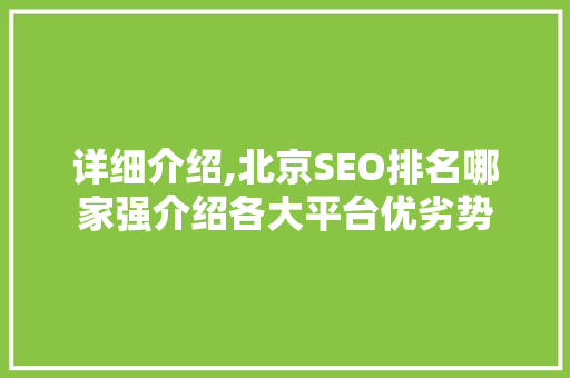详细介绍,北京SEO排名哪家强介绍各大平台优劣势