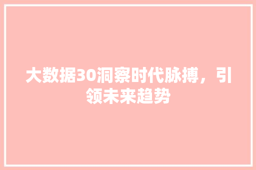 大数据30洞察时代脉搏，引领未来趋势  第1张