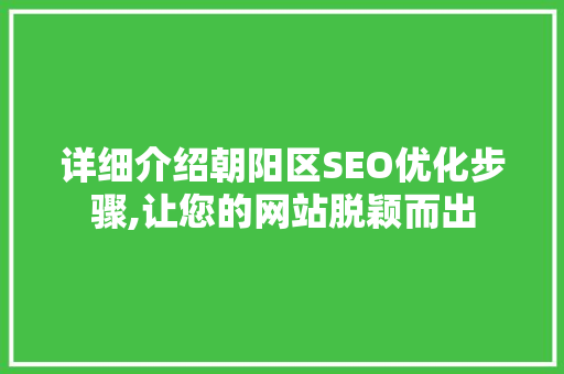 详细介绍朝阳区SEO优化步骤,让您的网站脱颖而出