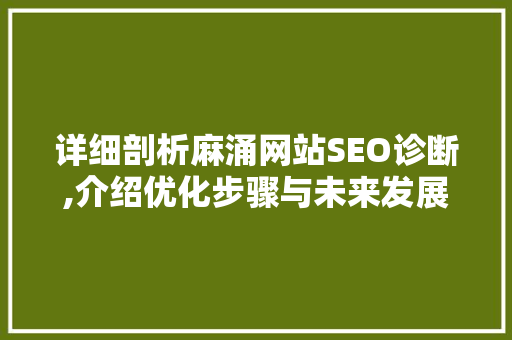 详细剖析麻涌网站SEO诊断,介绍优化步骤与未来发展