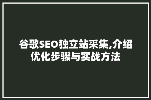 谷歌SEO独立站采集,介绍优化步骤与实战方法