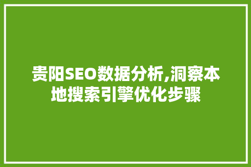 贵阳SEO数据分析,洞察本地搜索引擎优化步骤