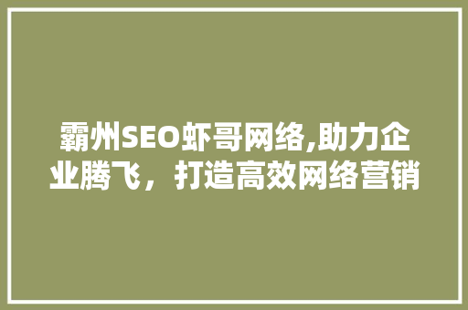 霸州SEO虾哥网络,助力企业腾飞，打造高效网络营销步骤