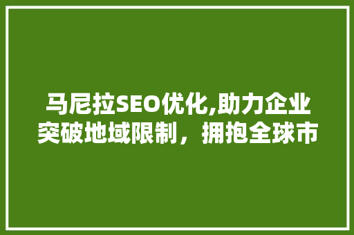 马尼拉SEO优化,助力企业突破地域限制，拥抱全球市场