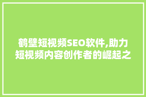 鹤壁短视频SEO软件,助力短视频内容创作者的崛起之路