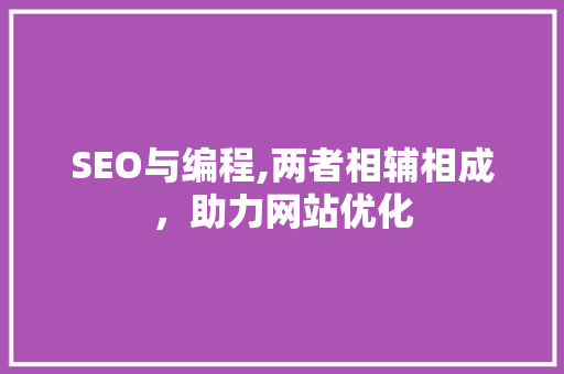 SEO与编程,两者相辅相成，助力网站优化