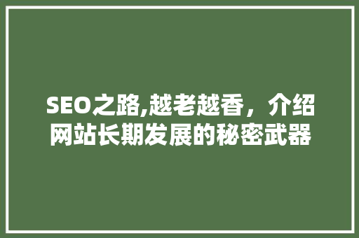 SEO之路,越老越香，介绍网站长期发展的秘密武器