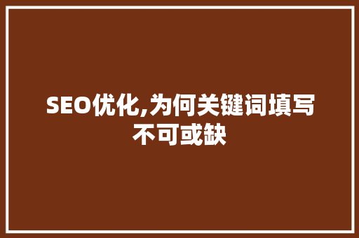 SEO优化,为何关键词填写不可或缺