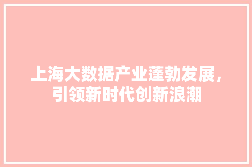 上海大数据产业蓬勃发展，引领新时代创新浪潮