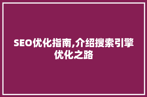 SEO优化指南,介绍搜索引擎优化之路