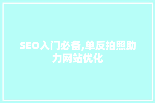 SEO入门必备,单反拍照助力网站优化