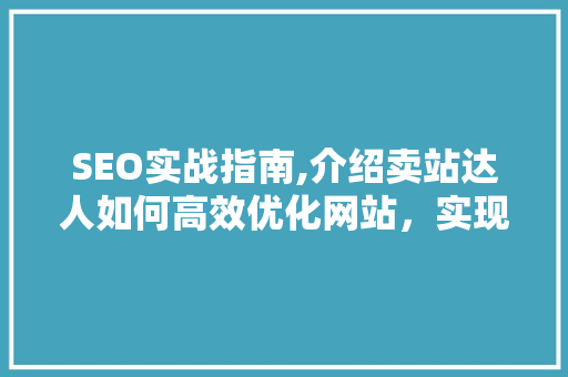 SEO实战指南,介绍卖站达人如何高效优化网站，实现流量翻倍