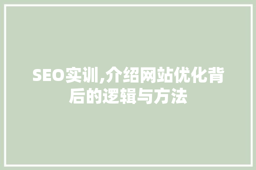 SEO实训,介绍网站优化背后的逻辑与方法  第1张