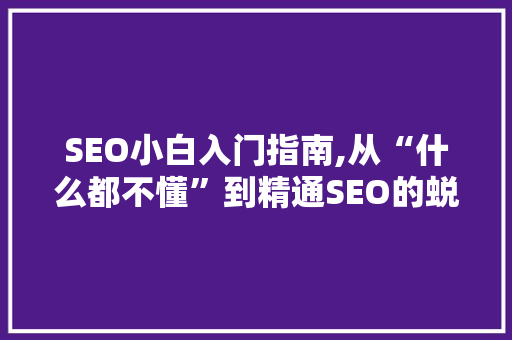 SEO小白入门指南,从“什么都不懂”到精通SEO的蜕变之路