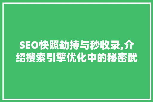 SEO快照劫持与秒收录,介绍搜索引擎优化中的秘密武器
