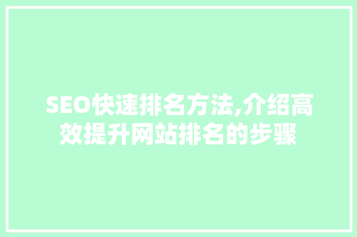 SEO快速排名方法,介绍高效提升网站排名的步骤