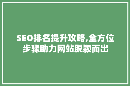 SEO排名提升攻略,全方位步骤助力网站脱颖而出