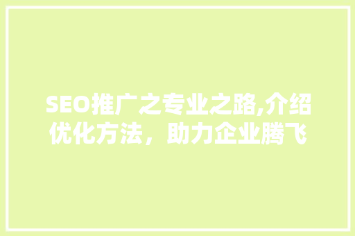 SEO推广之专业之路,介绍优化方法，助力企业腾飞