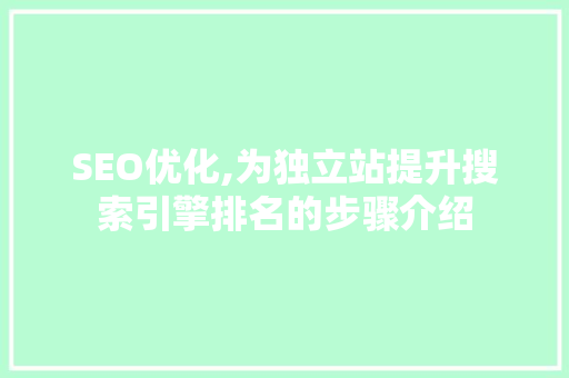 SEO优化,为独立站提升搜索引擎排名的步骤介绍