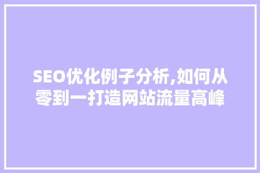 SEO优化例子分析,如何从零到一打造网站流量高峰