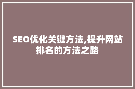 SEO优化关键方法,提升网站排名的方法之路