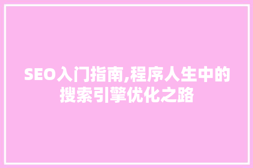 SEO入门指南,程序人生中的搜索引擎优化之路