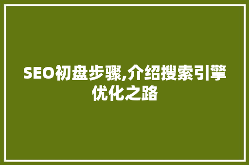 SEO初盘步骤,介绍搜索引擎优化之路