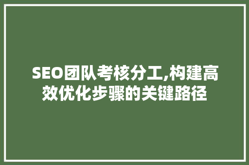 SEO团队考核分工,构建高效优化步骤的关键路径