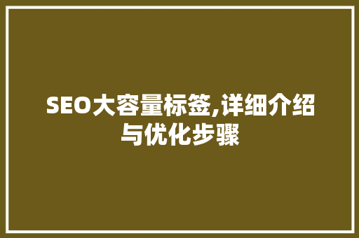 SEO大容量标签,详细介绍与优化步骤