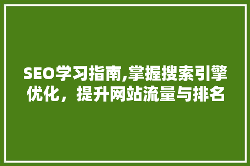 SEO学习指南,掌握搜索引擎优化，提升网站流量与排名