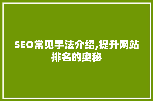 SEO常见手法介绍,提升网站排名的奥秘