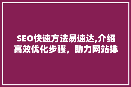 SEO快速方法易速达,介绍高效优化步骤，助力网站排名飙升
