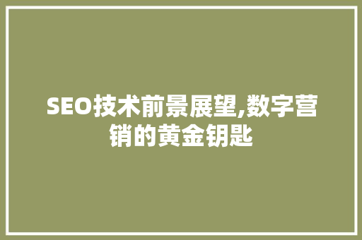 SEO技术前景展望,数字营销的黄金钥匙