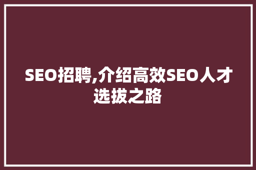 SEO招聘,介绍高效SEO人才选拔之路