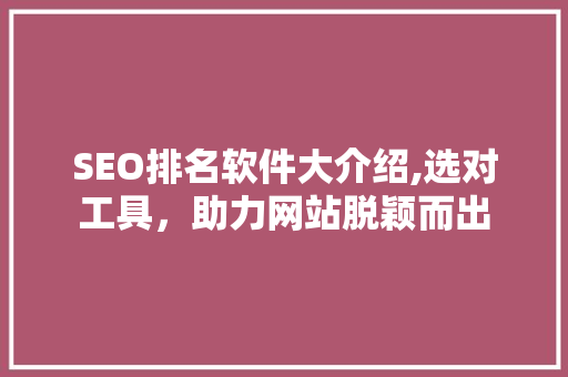 SEO排名软件大介绍,选对工具，助力网站脱颖而出