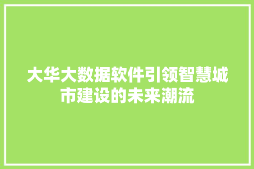 大华大数据软件引领智慧城市建设的未来潮流