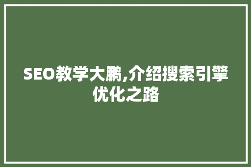 SEO教学大鹏,介绍搜索引擎优化之路