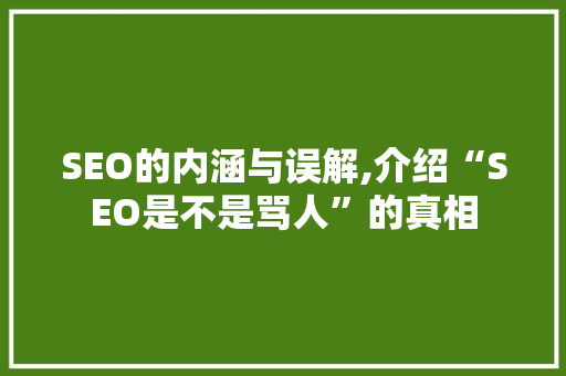 SEO的内涵与误解,介绍“SEO是不是骂人”的真相