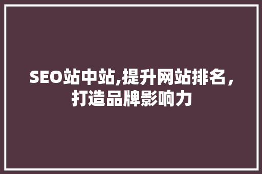 SEO站中站,提升网站排名，打造品牌影响力